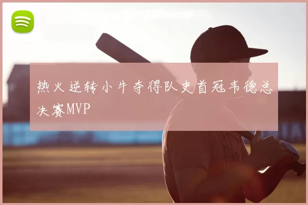 热火逆转小牛夺得队史首冠韦德总决赛MVP