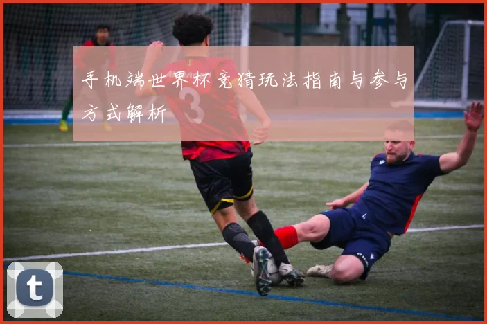 手机端世界杯竞猜玩法指南与参与方式解析