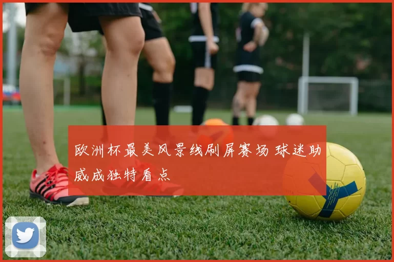 欧洲杯最美风景线刷屏赛场 球迷助威成独特看点