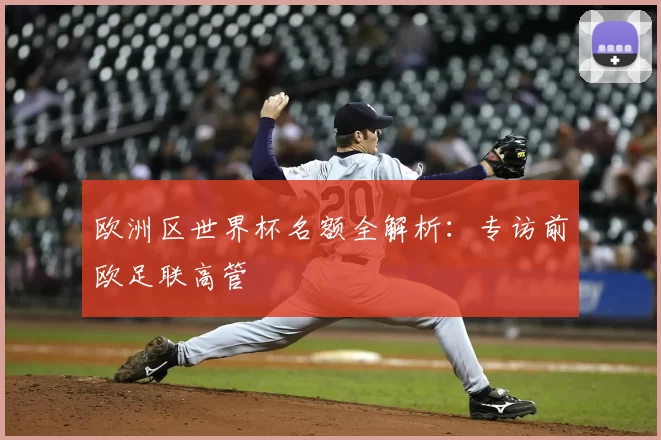 欧洲区世界杯名额全解析：专访前欧足联高管