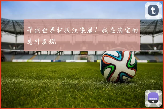寻找世界杯投注渠道？我在淘宝的意外发现