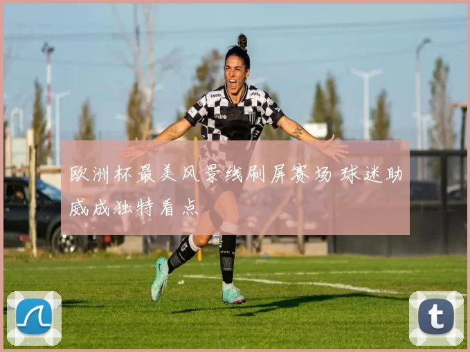 欧洲杯最美风景线刷屏赛场 球迷助威成独特看点