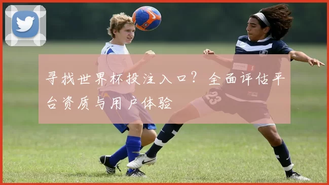 寻找世界杯投注入口？全面评估平台资质与用户体验