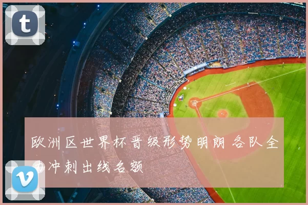 欧洲区世界杯晋级形势明朗 各队全力冲刺出线名额