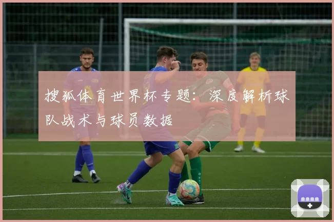 搜狐体育世界杯专题:深度解析球队战术与球员数据