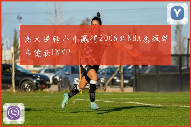 热火逆转小牛赢得2006年NBA总冠军韦德获FMVP