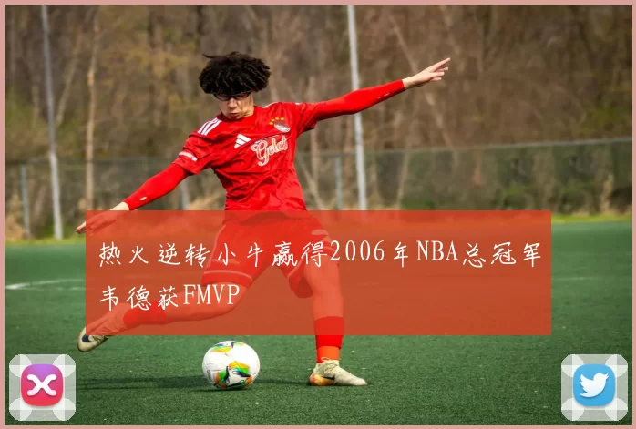 热火逆转小牛赢得2006年NBA总冠军韦德获FMVP