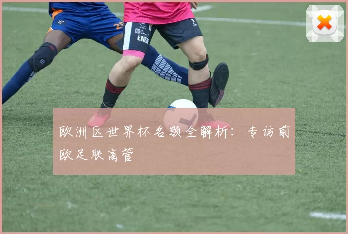 欧洲区世界杯名额全解析：专访前欧足联高管