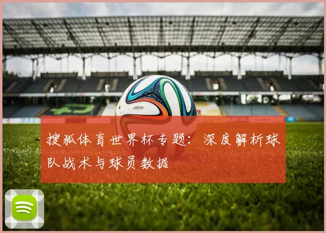 搜狐体育世界杯专题:深度解析球队战术与球员数据
