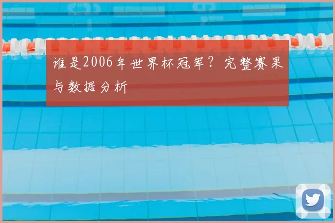 谁是2006年世界杯冠军？完整赛果与数据分析
