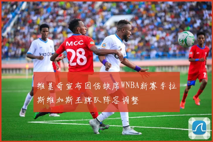 维基奇宣布因伤缺席WNBA新赛季拉斯维加斯王牌队阵容调整