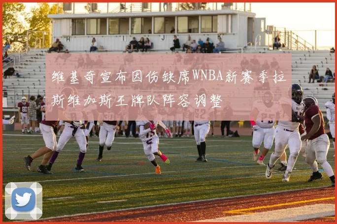 维基奇宣布因伤缺席WNBA新赛季拉斯维加斯王牌队阵容调整