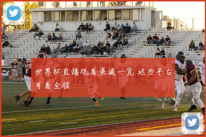 世界杯直播观看渠道一览 这些平台可看全程