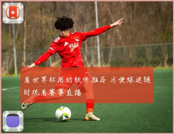 看世界杯用的软件推荐 方便球迷随时观看赛事直播