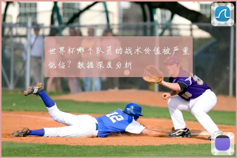 世界杯哪个队员的战术价值被严重低估?数据深度分析
