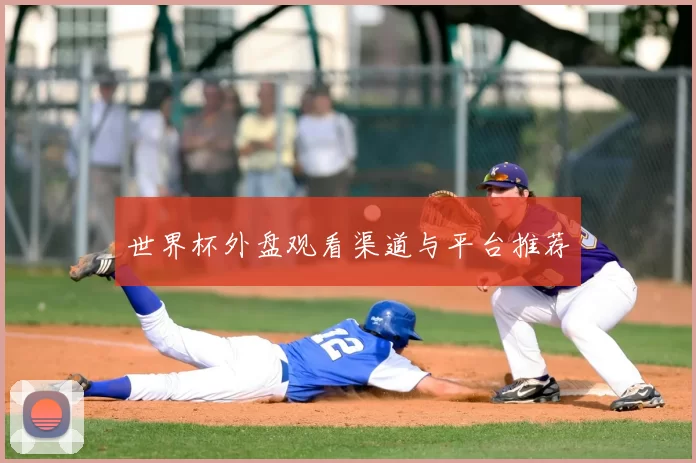 世界杯外盘观看渠道与平台推荐
