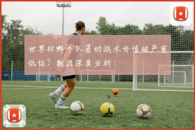 世界杯哪个队员的战术价值被严重低估?数据深度分析