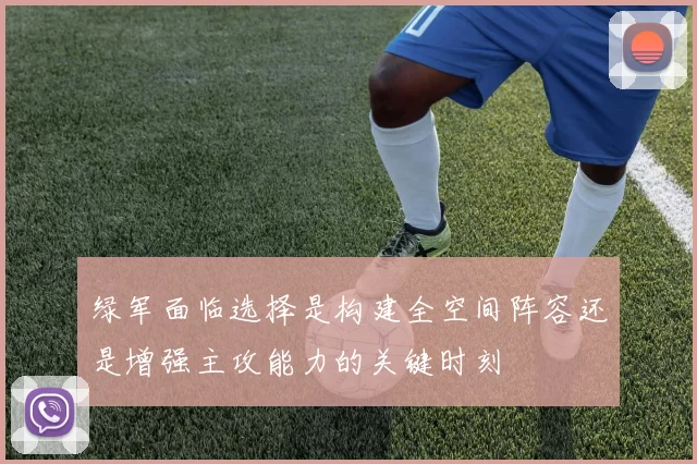 绿军面临选择是构建全空间阵容还是增强主攻能力的关键时刻