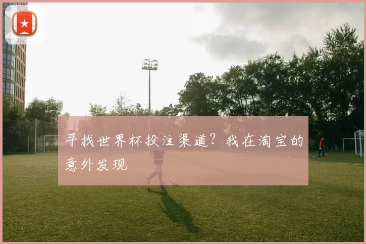 寻找世界杯投注渠道?我在淘宝的意外发现