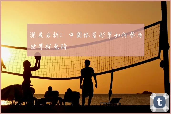 深度分析:中国体育彩票如何参与世界杯竞猜